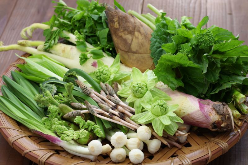 rau mùa xuân rau mùa xuân